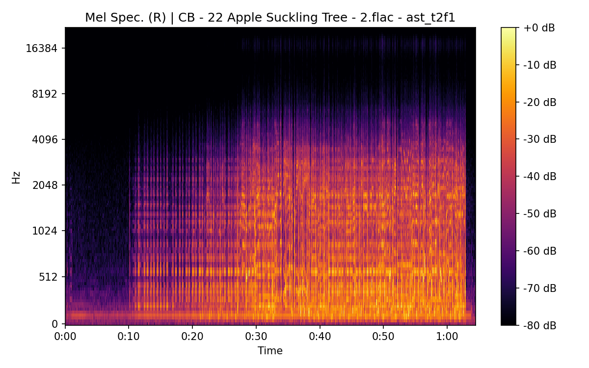 Mel Spectrogram (Right)
